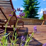 Terrace Premium Belvaros Jacuzzival * Veszprém
